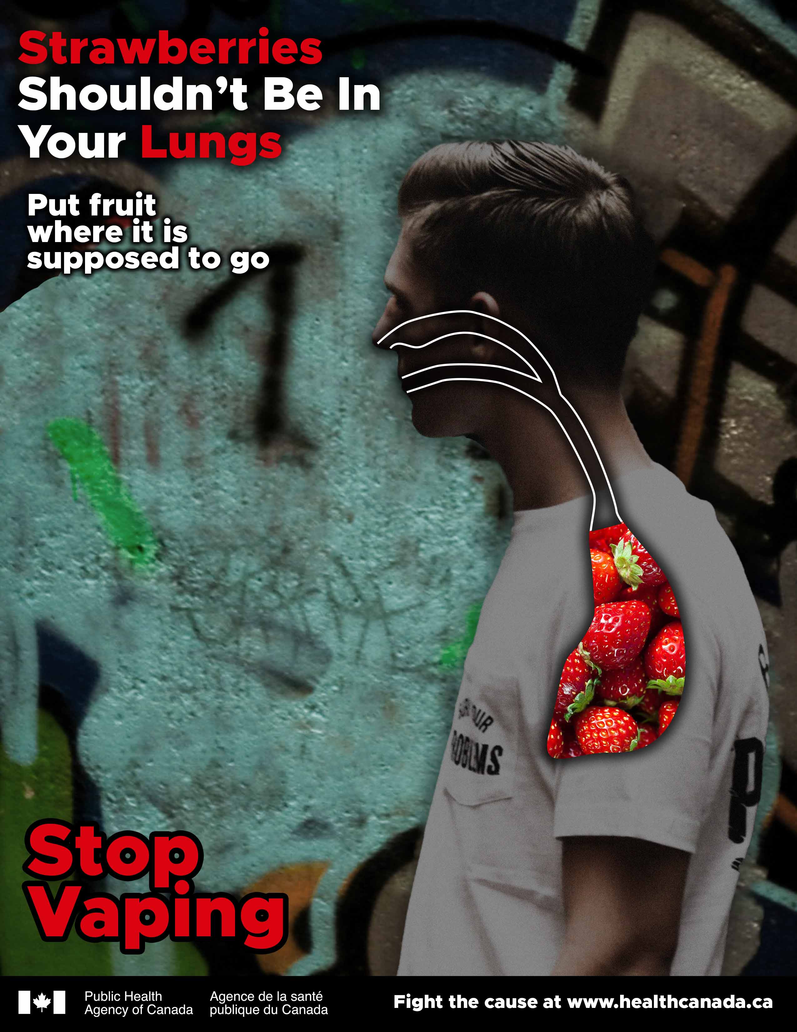 Vaping Project Image